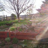 HOW TO BEAUTIFY A BACKYARD
