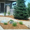 FULL XERISCAPE