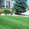 Partial Xeriscape