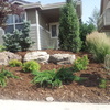 Full Xeriscape